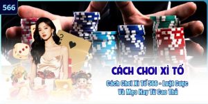 Cách Chơi Xì Tố