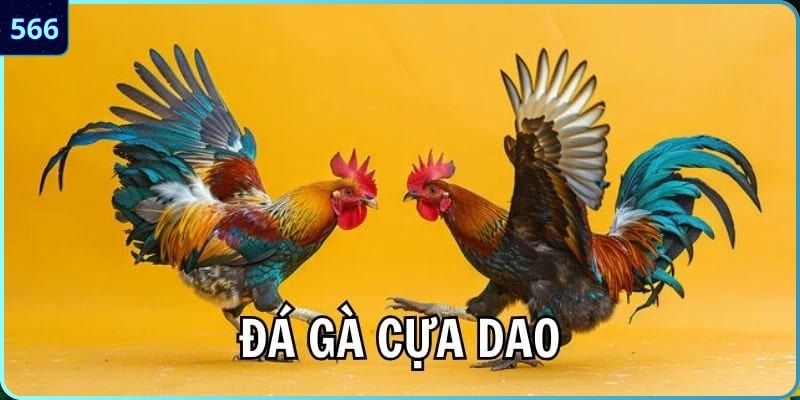 Điểm đặc biệt bộ môn mang lại