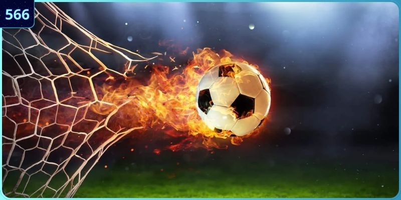 Nắm bắt cách nhận biết chuẩn chỉ nhất được chuyên gia chia sẻ